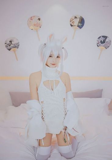 爱你张凌赫电视剧免费播放