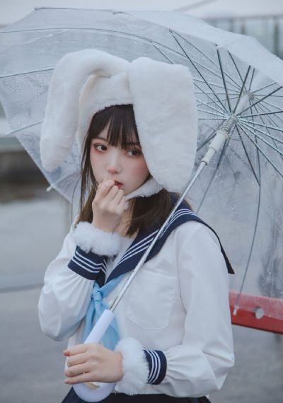 电视剧芈月传全集免费观看