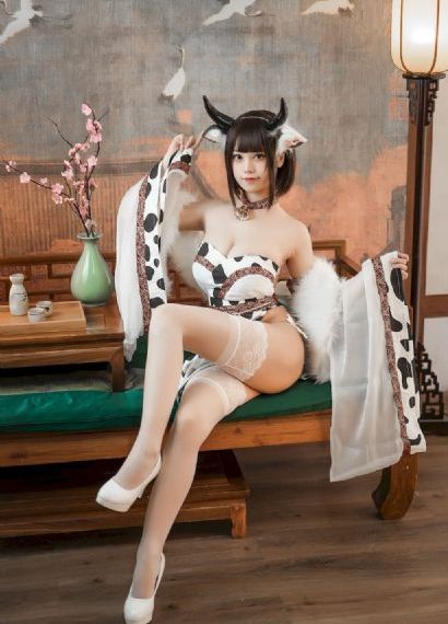 枪花免费观看完整电视剧全集