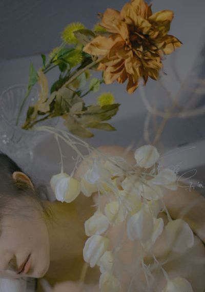 桃花在线观看
