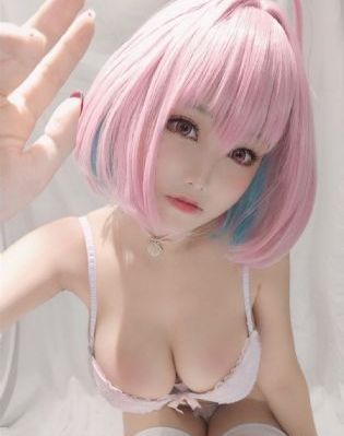 a极片