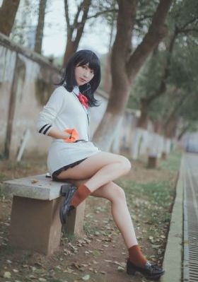 细狗免费版
